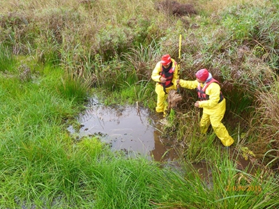 Invader plant threatens local waters